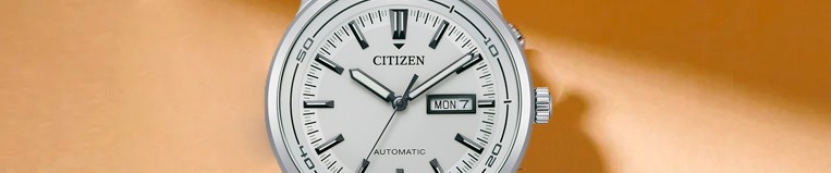 Citizen Otras Colecciones - Joyeria Larrabe - Precio personalizado