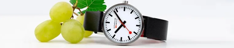 Relojes Mondaine Classic - Joyeria Larrabe - Distr. Oficial